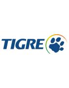 Tigre