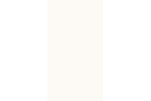 Revestimento Acetinado Monoporoso Classic Branco 33x61 