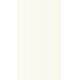 Revestimento Brilhante Monoporoso Retificado  Trazionale Bianco 32x60 
