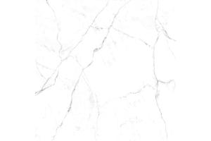 PORCELANATO ACETINADO RETIFICADO MASTER CARRARA VENUS 123019 123X123 CLASSE B - EMBRAMACO