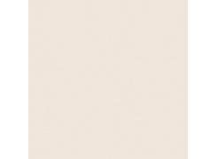 Piso Brilhante Absolut Cream Bege Retificado 60x60