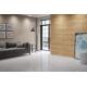 Porcelanato Polido Retificado Carrara Branco 82x82 MT B/COM - INCESA