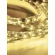 Fita LED Externa Amarela 3000K 1m 127V 14,4W/M - Avant