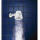 DUCHA MAXI BANHO COM BRAÇO 127V  5500W - LORENZETTI