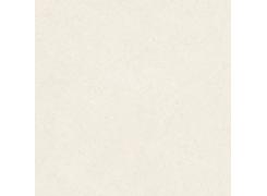 Porcelanato Polido Retificado Trento Bianco 62x62