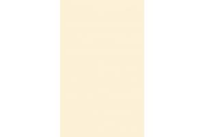 Revestimento Brilhante Bege 34x60 