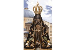 Revestimento HD 2051 Nossa Senhora Aparecida 32x57 MT A - Cedasa
