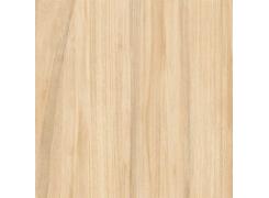 Piso Brilhante Naturalle HD50 Bege 50x50