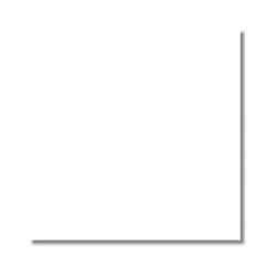 PISO BRILHANTE RETIFICADO BRANCO GLACIAL DR60000 LC 60X60 MT A  E