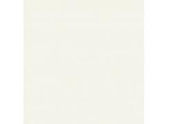 Porcelanato Polido Retificado Dig Tecno Bianco 62x62