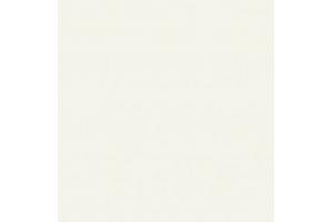 Porcelanato Retificado  Tecno Bianco 82x82 A - Biancogres
